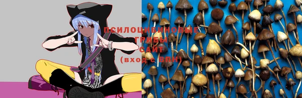 a pvp Богородск
